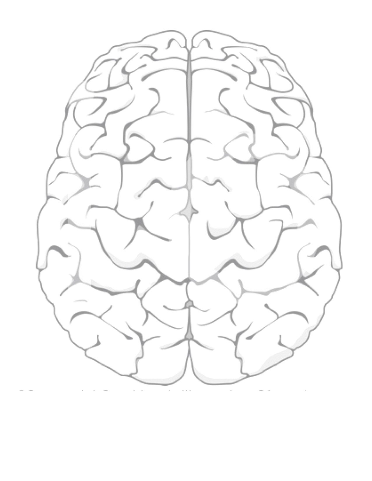 Brain Template Printable